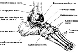 Zúzódás a láb tünetek és a kezelés