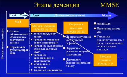 Care A demenciában szenvedő beteg, hogyan kell csinálni