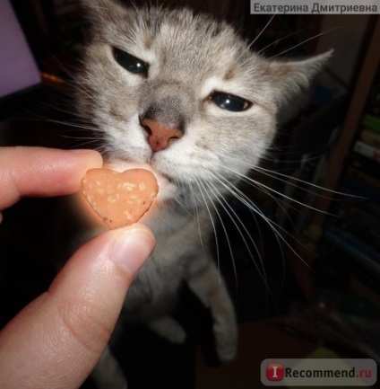 Vitaminok macskáknak polidex gelabon plusz glucozamine (Polydex gelabon plusz glükózamin) - „ugrás és