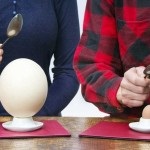 Mind a tojástermelés struccok és egyedi termékek - strucctojások (termék) Mind a tojástermelés struccok és egyedi termékek - strucctojások
