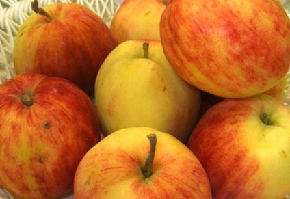 Az almafák az Ural és a szibériai fajták, különösen a termesztés és