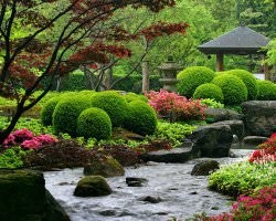 Japánkert hogyan lehet, hogy otthon az országban - a szem a világon az információs-elemző portál