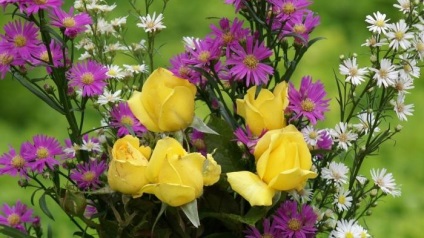 Sárga rózsa szép virág értéke