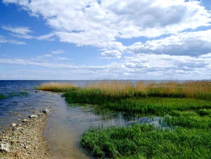 Jelentését és értelmezését kifejezés Lake (jelenleg meglévő tavak) Jelentését és kifejezés értelmezését tó