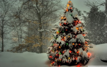 25 Fotók ötleteket, hogyan kell díszíteni a karácsonyfát a New Year