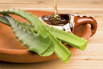 Aloe mézzel gyomor- - a legjobb receptek