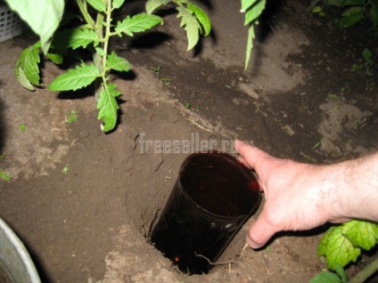 Egy alternatív módszer a locsolás az üvegházhatás - így házi - Üvegházak (alternatív) Egy másik módszer a locsolás az üvegházhatás -, hogy házi készítésű - Üvegház