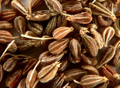 Ánizs - terápiás jótékony tulajdonságait ánizs tea (hasznos) Ánizs - terápiás előnyös tulajdonságait ánizs tea