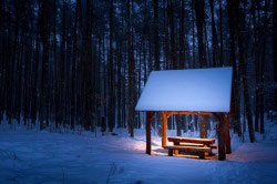 Pavilon a kertben dísznövények típusú építési (épület) Pavilon a kertben féle dekoratív építési