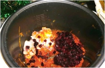 Borsch a multivarka Redmond (Redmond) Borscs a multivarka Redmond
