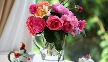 Hogyan készítsünk rózsa régóta vázák nem száradt