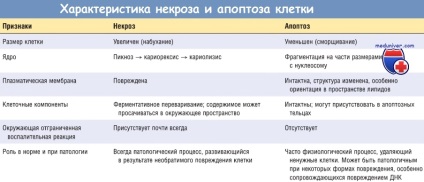 Mi a morfológia nekrózis elhalása (nekrózis) Mi a morfológia nekrózis nekrózis