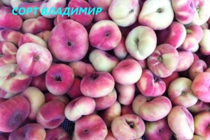 Milyen gyümölcsöt - barack: Peach (őszibarack) Milyen gyümölcsöt - barack: Peach