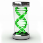 Génmutáció mutáció DNS világban - a jövőben a biotechnológia