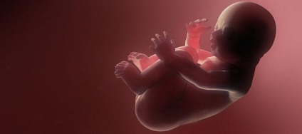 Hydronephrosis a magzat a terhesség alatt megközelíti a terápiára