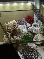 mesterséges akvárium