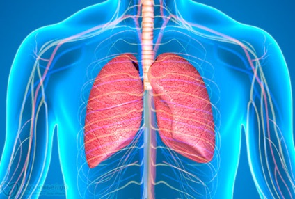 Amint légzés hideg (COPD) Hogyan lélegezni a hideg