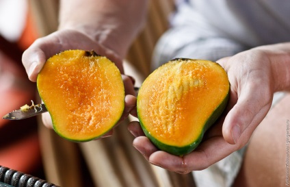 Melyek a mangó és hogyan kell rendesen enni