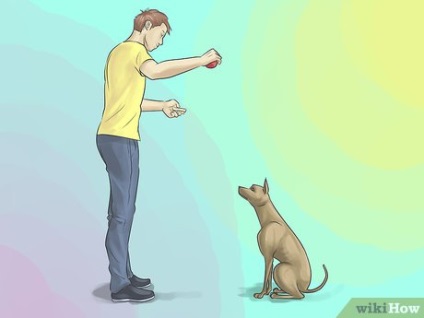 Hogyan kell tanítani a kutyát, hogy beszélni