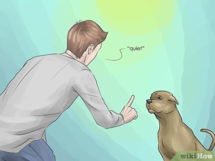 Hogyan kell tanítani a kutyát, hogy beszélni