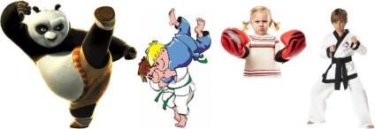 Mi harcművészet kiválasztott gyermek, ökölvívás, harcművészetek, Sambo, karate