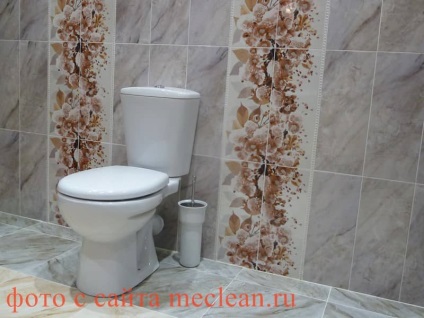 Hogyan kell helyesen tisztítani a WC (tiszta) Hogyan kell helyesen tisztítani a WC