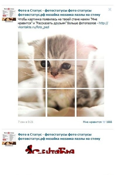 Hogyan, hogy kapcsolatba fotopazly (kontakt) Hogyan, hogy kapcsolatba fotopazly