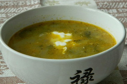 Hogyan készítsünk hideg leves (friedge) recept lépésről lépésre fotók - otthon leves