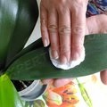 Hogyan törődik puha játékok, expertoza (ellátás) Hogyan törődik puha játékok, expertoza