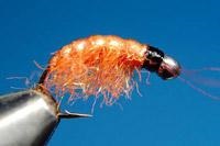 Hogyan kell tárolni a Gammarus (Gammarus) Hogyan kell tárolni a Gammarus