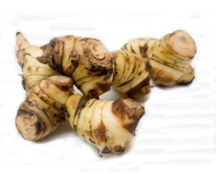 Galangal (galangal) gyökér terápiás tulajdonságait, ellenjavallatok és alkalmazása