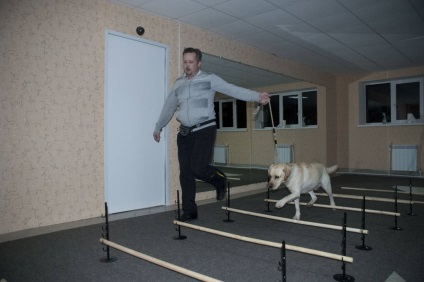 Cavalletto kutyák - hatékony képzés