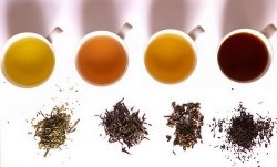 Tea besorolás minden típusú (osztályozás) Tea besorolás minden fajta