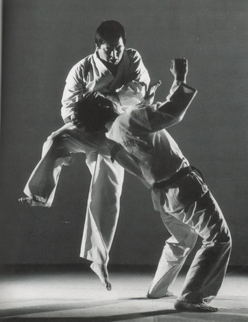 Vegyes harcművészeti klub Kosztroma - Ashihara Karate