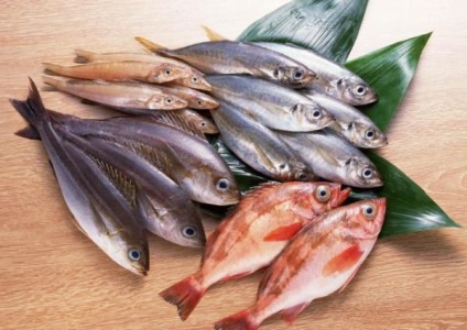 Ling garnéla hal előnyei és hátrányai
