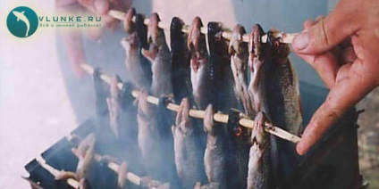 Füstölt hal - nagyon egyszerű! (Füstölt) Füstölt hal - nagyon egyszerű!