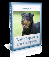 Yagdterera képzést otthon (feltételek) Yagdterera képzést otthon
