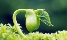 4 nyári ebéd recept a séf - cikkek meditáció, önismeret, a szeretet és a szabadság (amit a meditáció) 4 nyári ebéd recept a séf - cikkek meditáció, önismeret, a szeretet és a szabadság