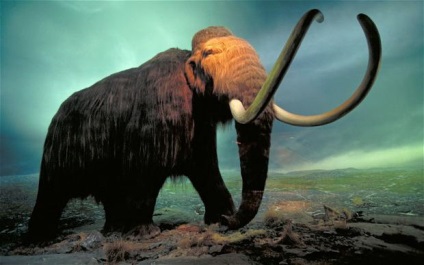 Mammoth - azt (a mamut) Mammoth - ez