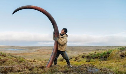 Mammoth - azt (a mamut) Mammoth - ez