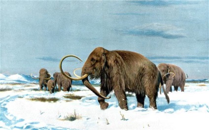 Mammoth - azt (a mamut) Mammoth - ez