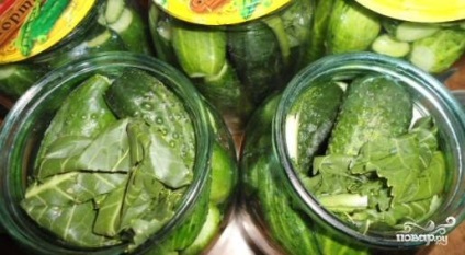 Pickles nélkül ecet - lépésről lépésre recept fotó (ecet) Pickles nélkül ecet - lépésről lépésre recept fotók