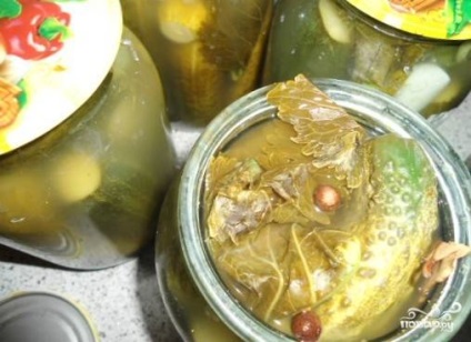 Pickles nélkül ecet - lépésről lépésre recept fotó (lépésről lépésre receptek) Pickles nélkül ecet - lépésről lépésre recept fotók