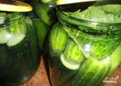 Pickles nélkül ecet - lépésről lépésre recept fotók