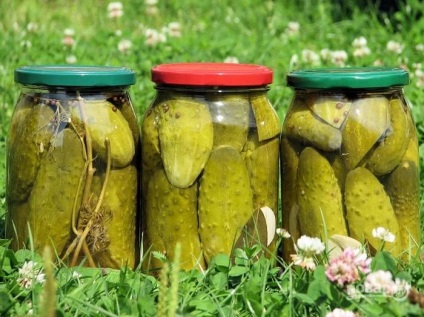 Pickles nélkül ecet - lépésről lépésre recept fotó (receptek) Pickles nélkül ecet - lépésről lépésre recept fotók