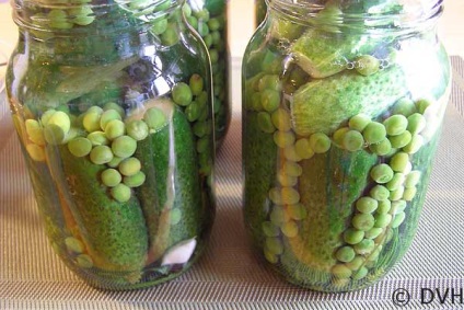 Мариновані огірки з зеленим горошком, мої улюблені рецепти