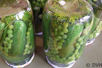 Мариновані огірки з зеленим горошком, мої улюблені рецепти