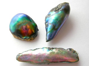 Kagyló Abalon termel egy ritka fajta gyöngy, amelynek speciális tulajdonságokkal