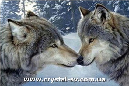 A hírek „, amely jelképezi a kép a farkas a képet - két farkas
