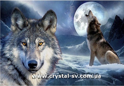 A hírek „, amely jelképezi a kép a farkas a képet - két farkas